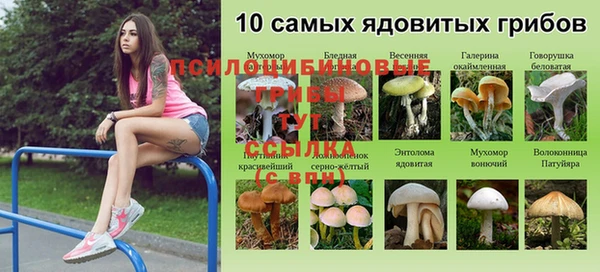 соль курить ск Медногорск
