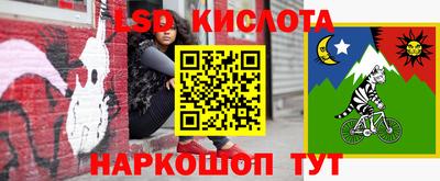 молекула духа Донецк