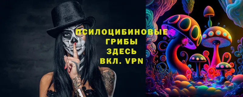 гидра   Муром  Галлюциногенные грибы Psilocybe 